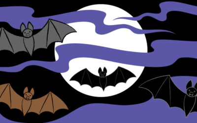 Draw a Vampire Bat!
