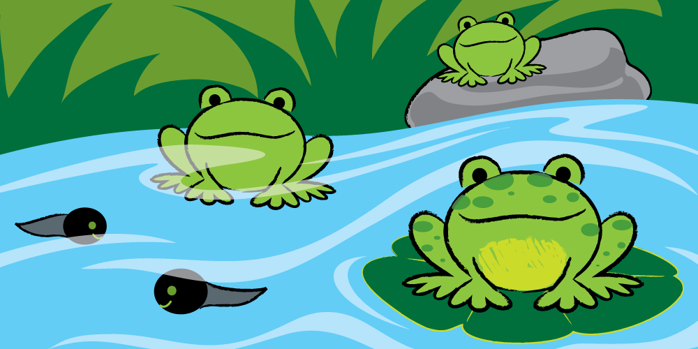 cute frogs in water with tadpoles illustration