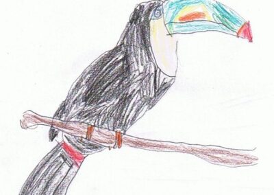 child's cute drawing toucan